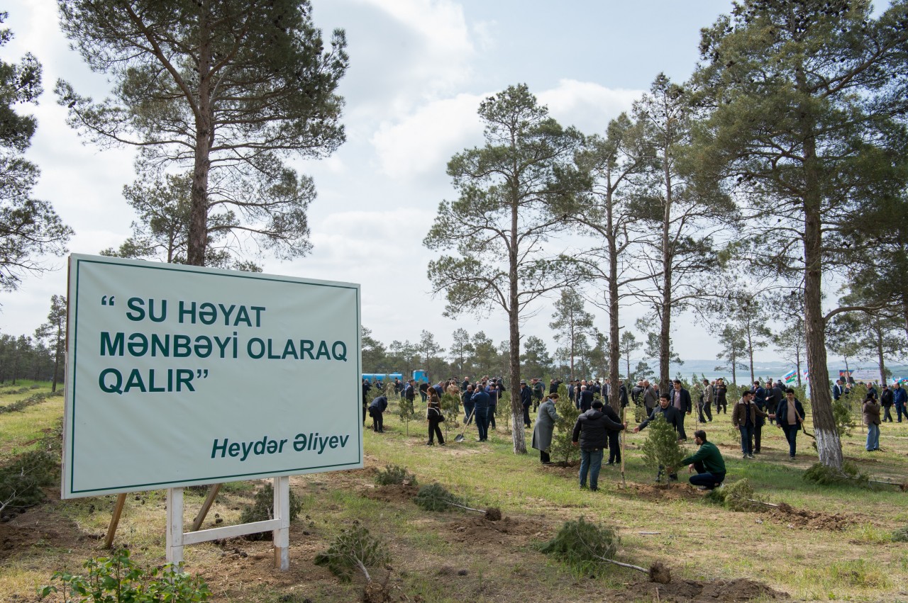 YAP Heydər Əliyevin 103 illiyi ilə əlaqədar ağacəkmə aksiyası keçirdi - FOTOLAR