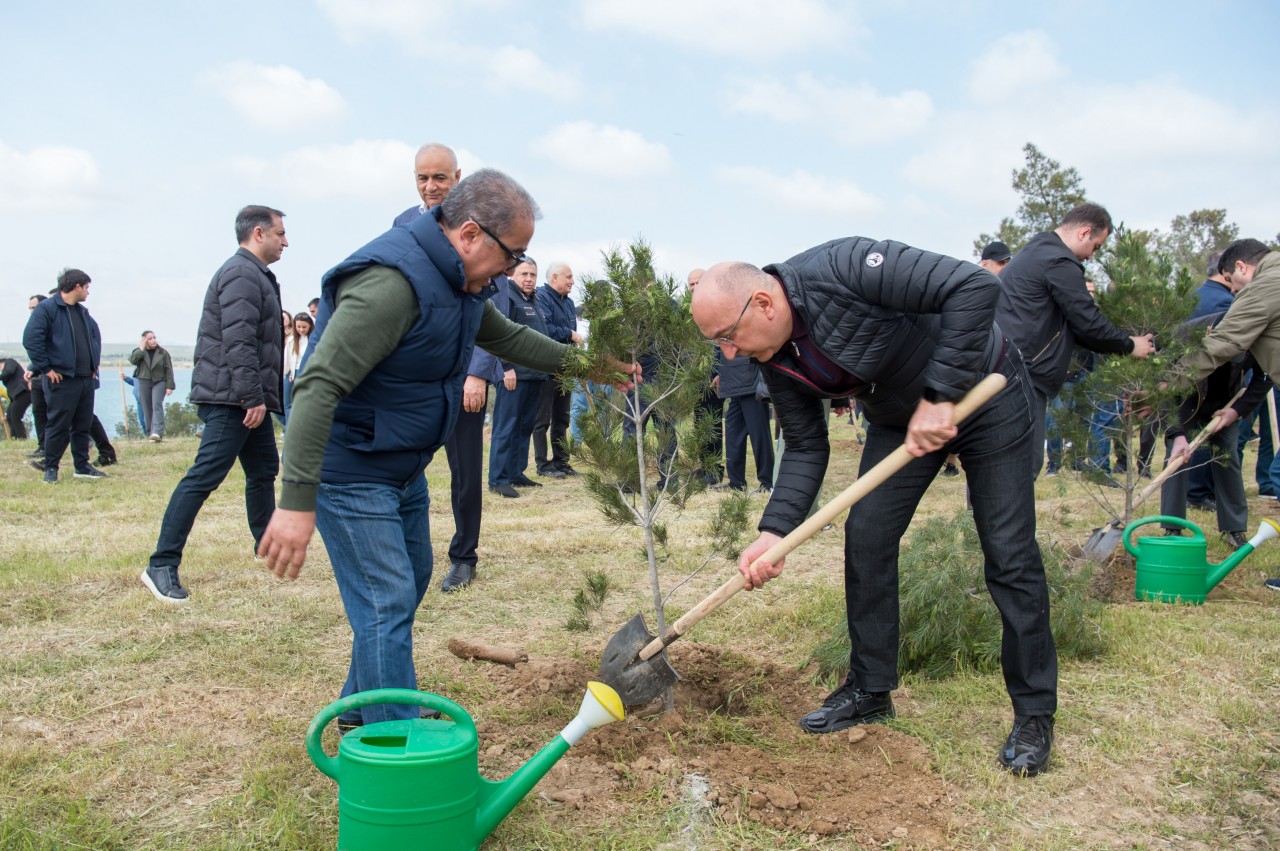 YAP Heydər Əliyevin 103 illiyi ilə əlaqədar ağacəkmə aksiyası keçirdi - FOTOLAR