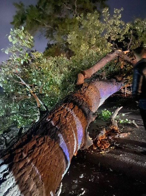 Gəndov-Yalama yolunun bağlanma səbəbi bəlli oldu - FOTO