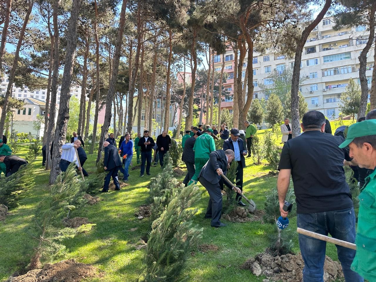  Xətaidə Heydər Əliyevin 103 illiyi münasibətilə silsilə tədbirlər keçirilib - FOTOLAR