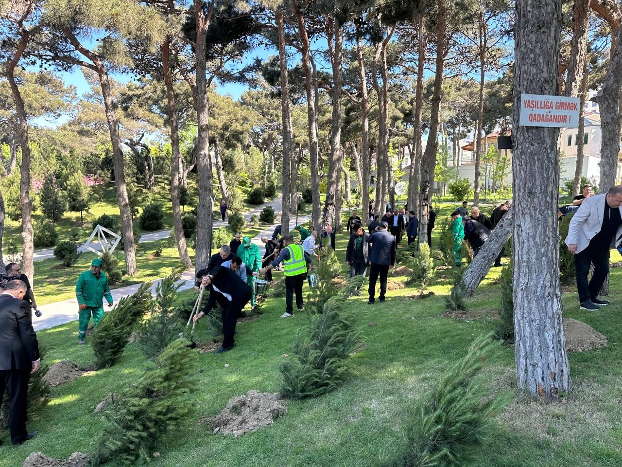  Xətaidə Heydər Əliyevin 103 illiyi münasibətilə silsilə tədbirlər keçirilib - FOTOLAR
