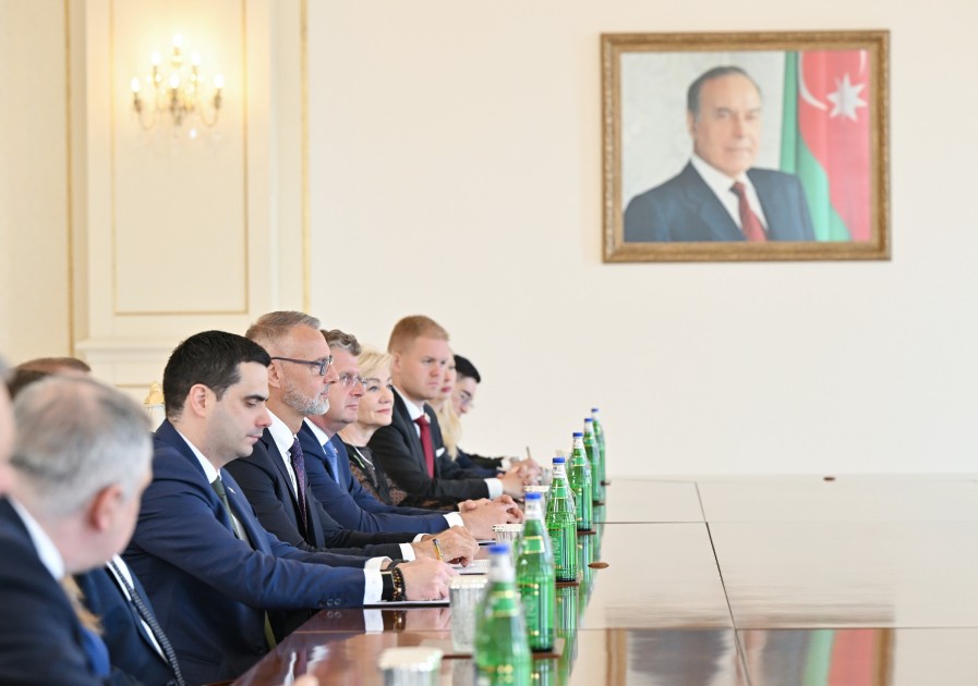 Prezident Rixard Raşini qəbul etdi - FOTOLAR