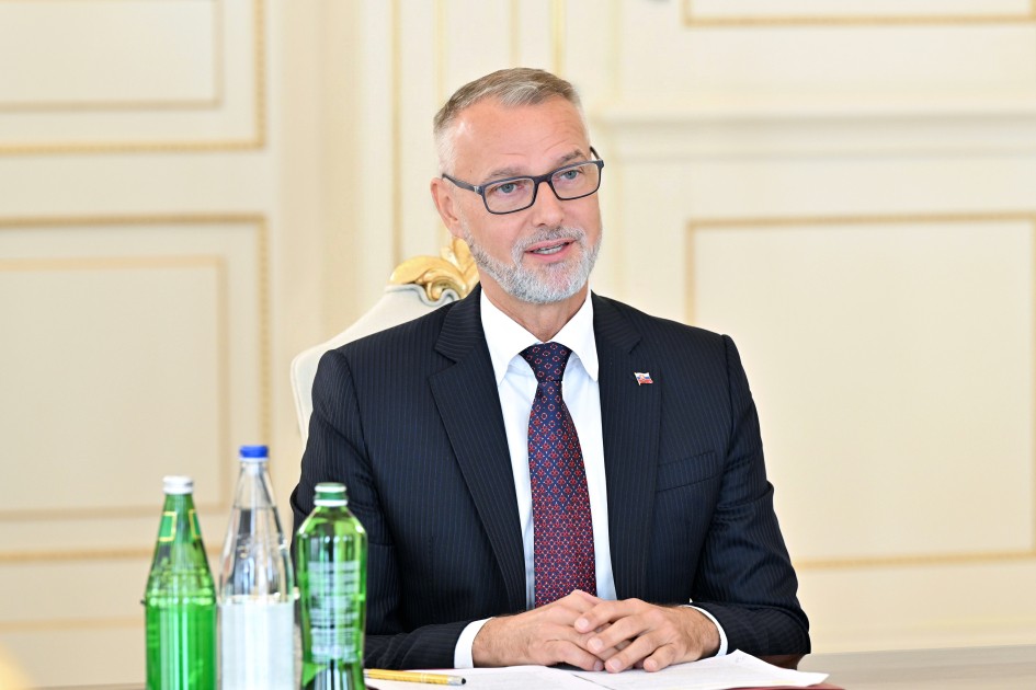 Prezident Rixard Raşini qəbul etdi - FOTOLAR