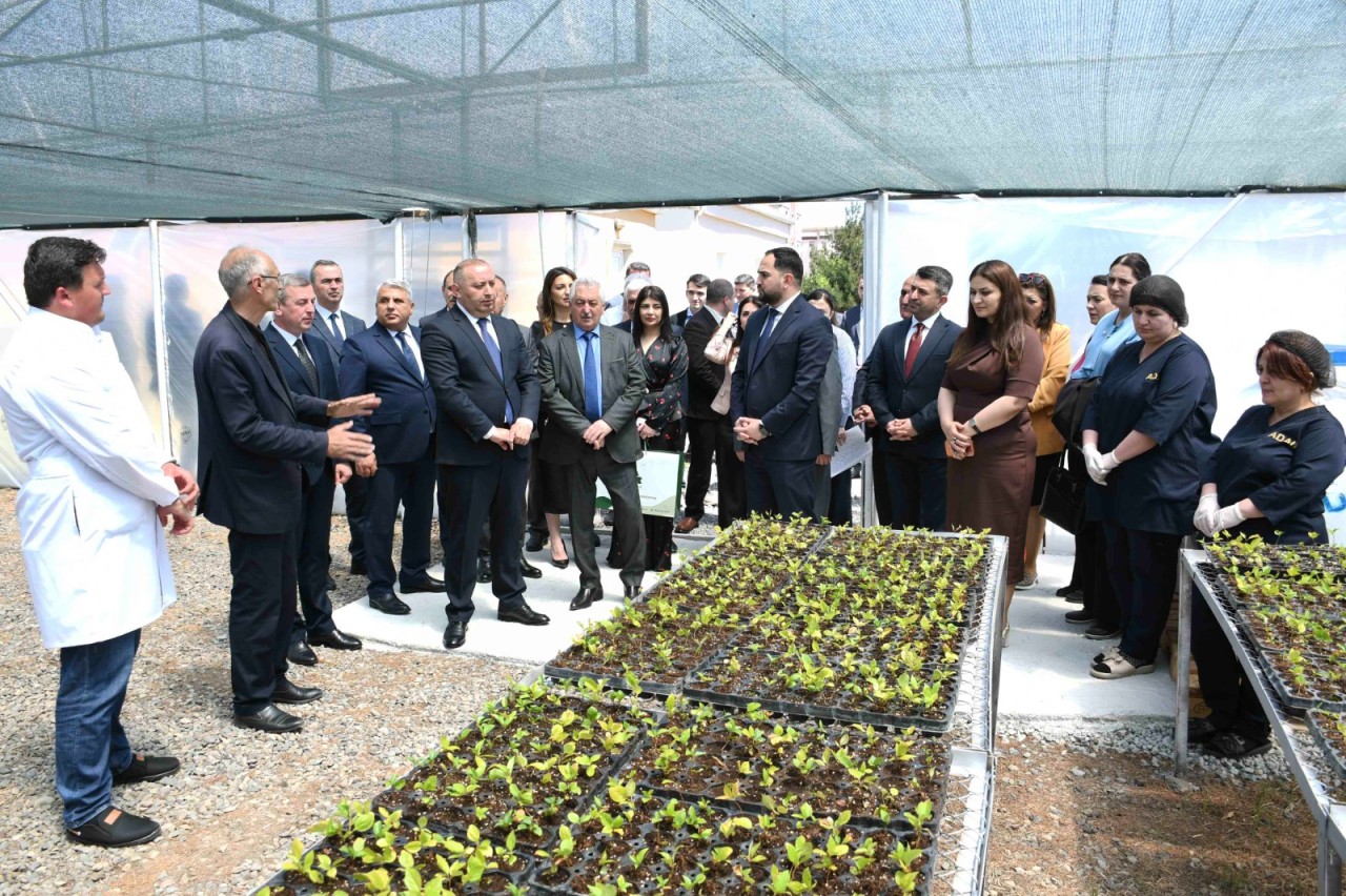 ADAU-da Bitkilərin Adaptasiya Otağı fəaliyyətə başlayıb - FOTOLAR