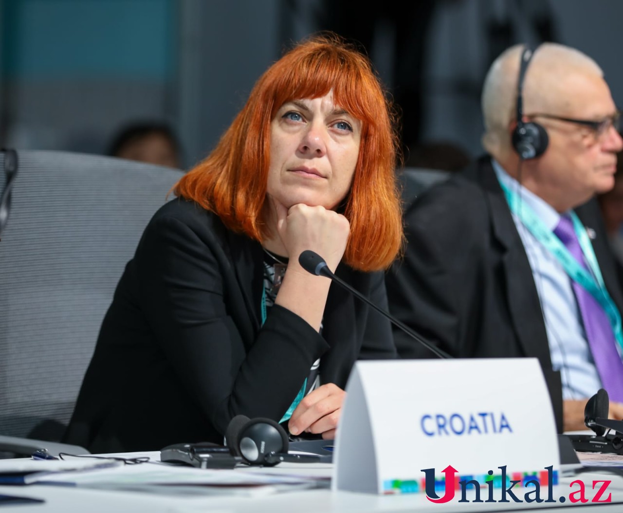 WUF13-dəki panel müzakirədən - FOTOLAR