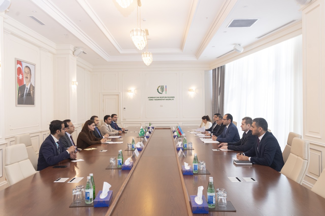 Nazir Pakistan rəsmisi ilə bu məsələləri müzakirə etdi - FOTOLAR