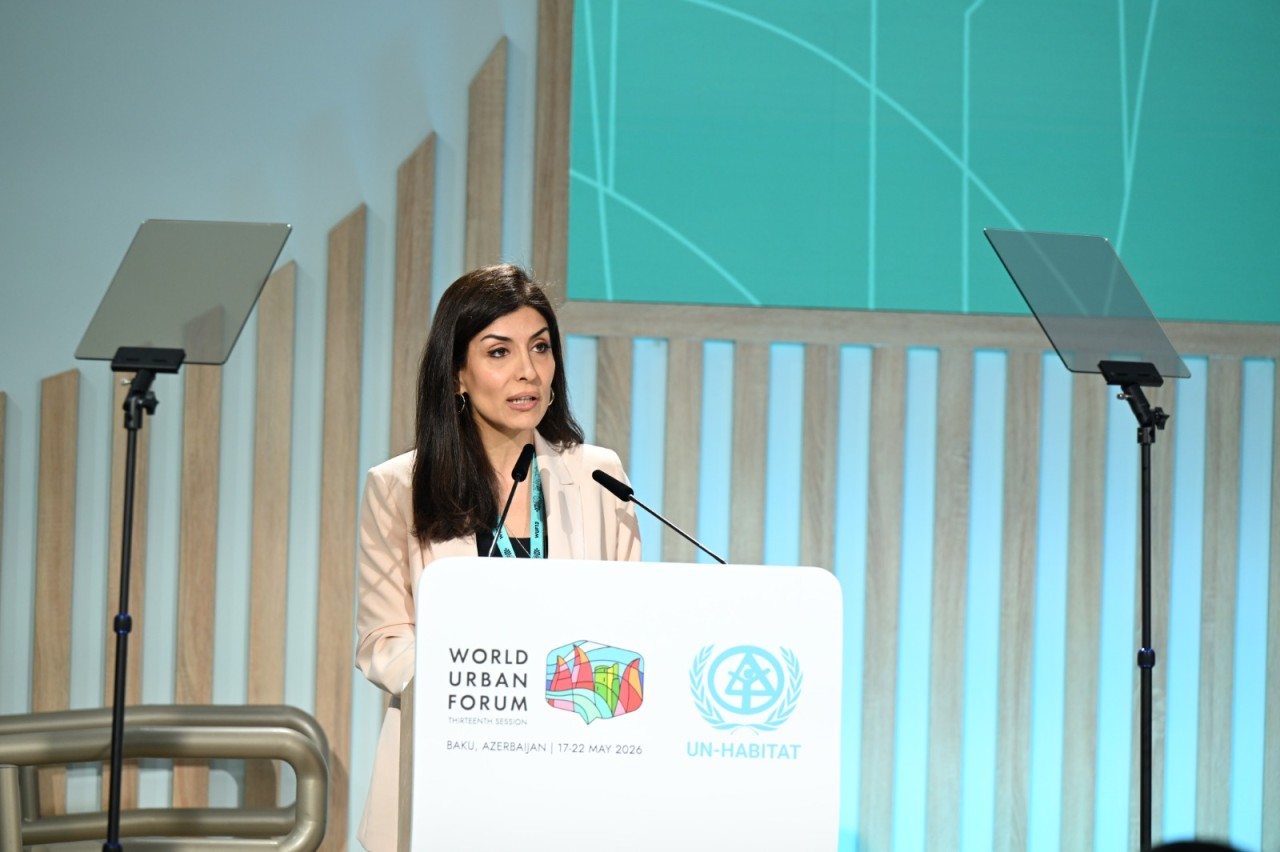 WUF13 çərçivəsində MİM tərəfindən tədbir keçirildi - FOTOLAR