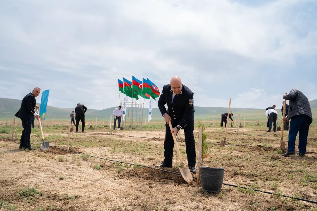 ETSN kollektivi peşə bayramını qeyd edib - FOTOLAR