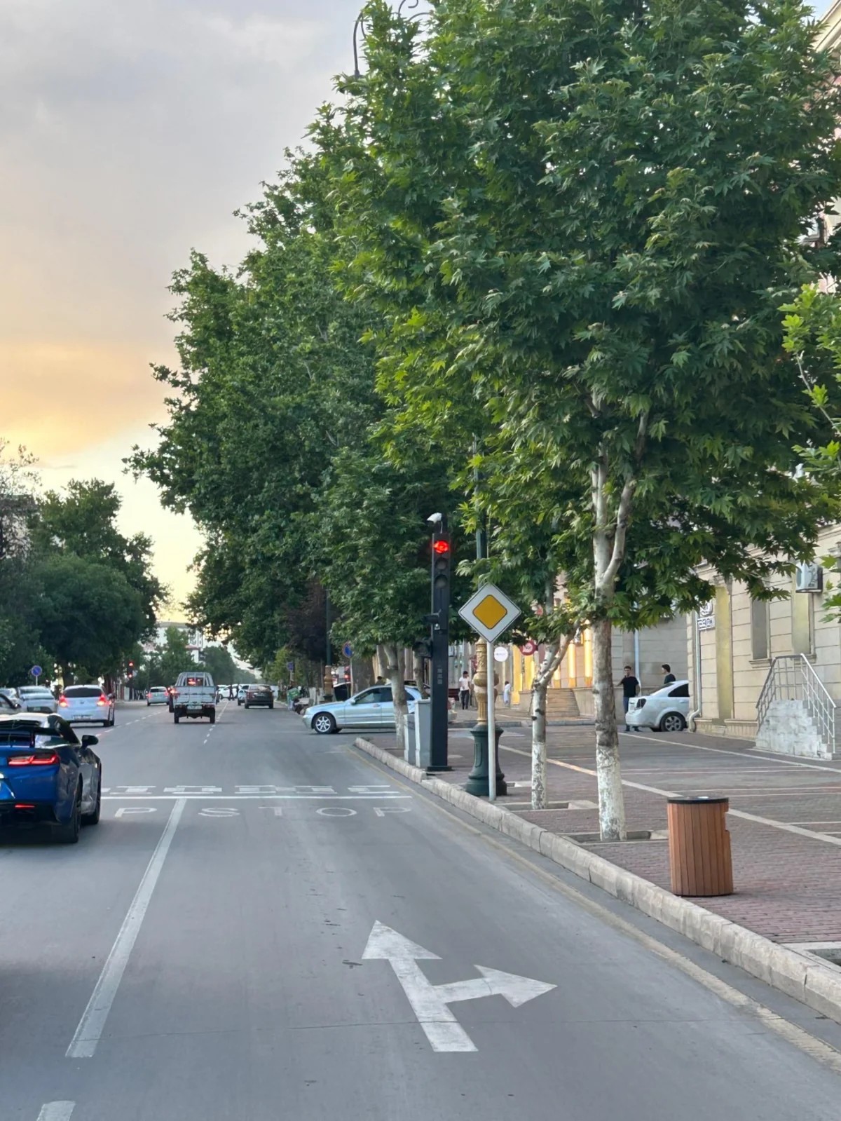 Naxçıvanda yol nişanları yenilənir - FOTOLAR
