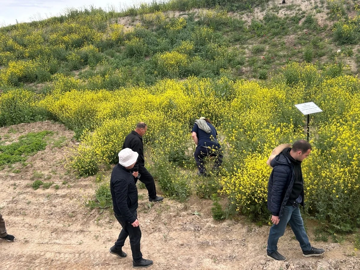 Ağdərə və Ağdamda yeni arxeoloji abidələr aşkar edildi - FOTOLAR