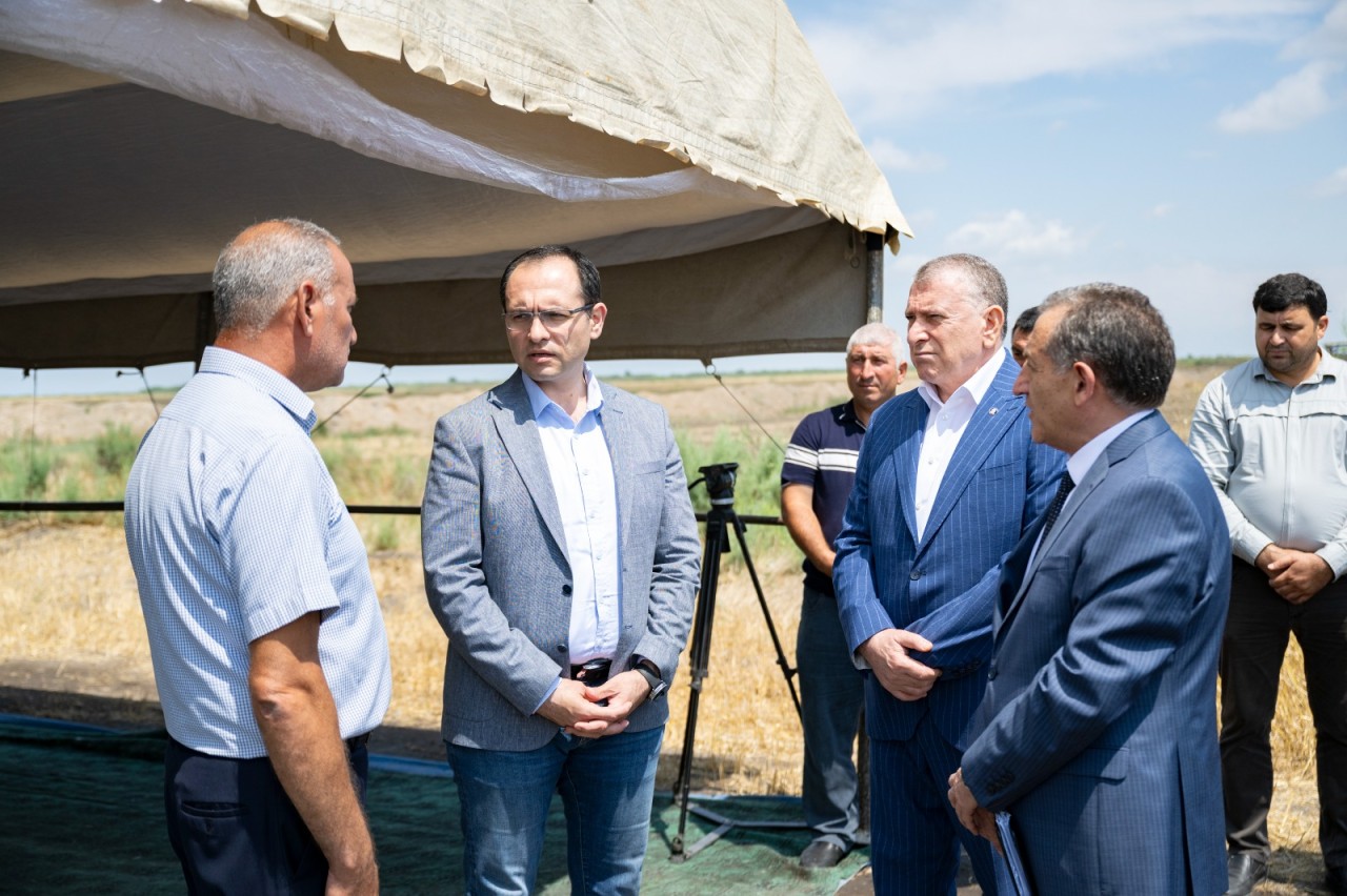 Nazir Sabirabadda kombayn sürdü - FOTOLAR
