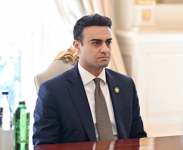 İlham Əliyev ABŞ Konqresinin Nümayəndələr Palatasının üzvünü qəbul etdi - FOTOLAR