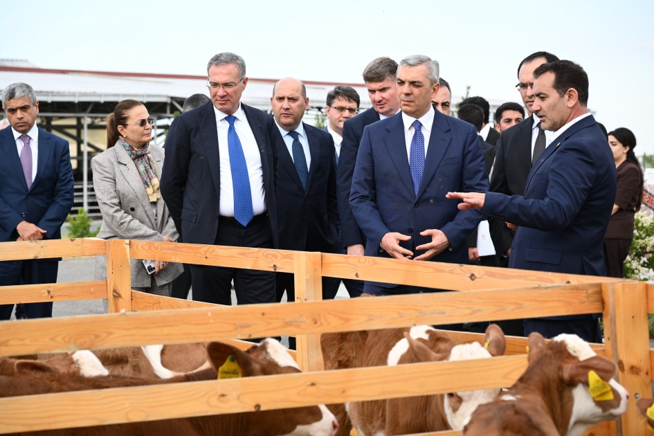 Xocalıda “Qoç Ət”in heyvandarlıq kompleksi ilə tanışlıq olub - FOTOLAR