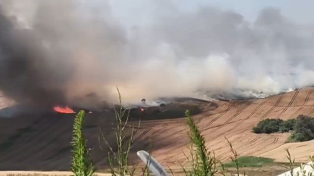 İstanbulda tarlada güclü yanğın başlayıb - FOTOLAR