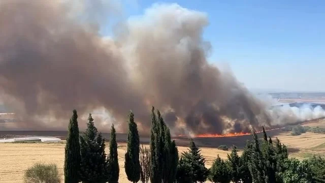 İstanbulda tarlada güclü yanğın başlayıb - FOTOLAR