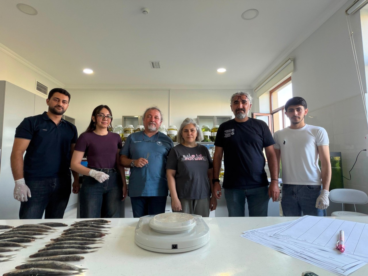 Xəzərdə balıq ehtiyatlarının elmi əsaslarla öyrənilməsi məqsədilə laborator təhlillərə başlanıb (FOTO)