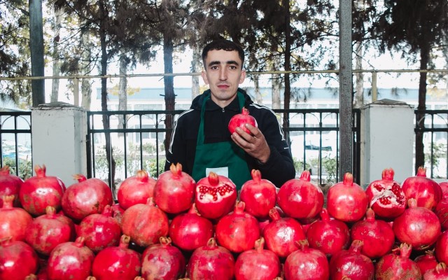 Ağdaşda “Kənddən Şəhərə” yarmarkası təşkil olunub - FOTOLAR