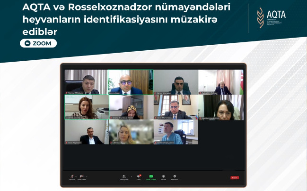 AQTA və Rosselxoznadzor nümayəndələri heyvanların identifikasiyasını müzakirə ediblər
