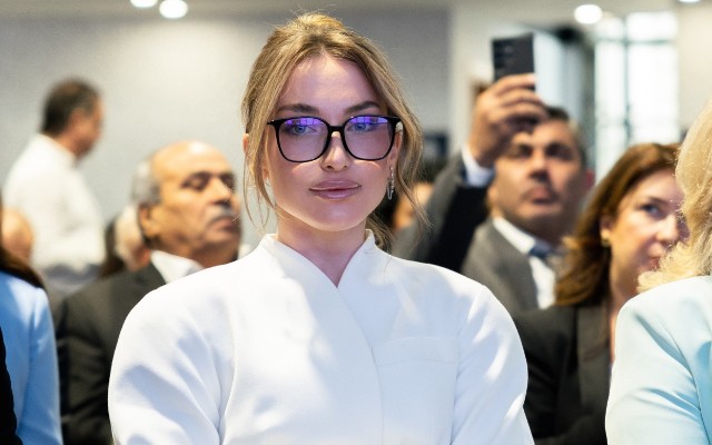 Alyona Əliyeva beynəlxalq inklüziv məşğulluq konfransında - FOTOLAR