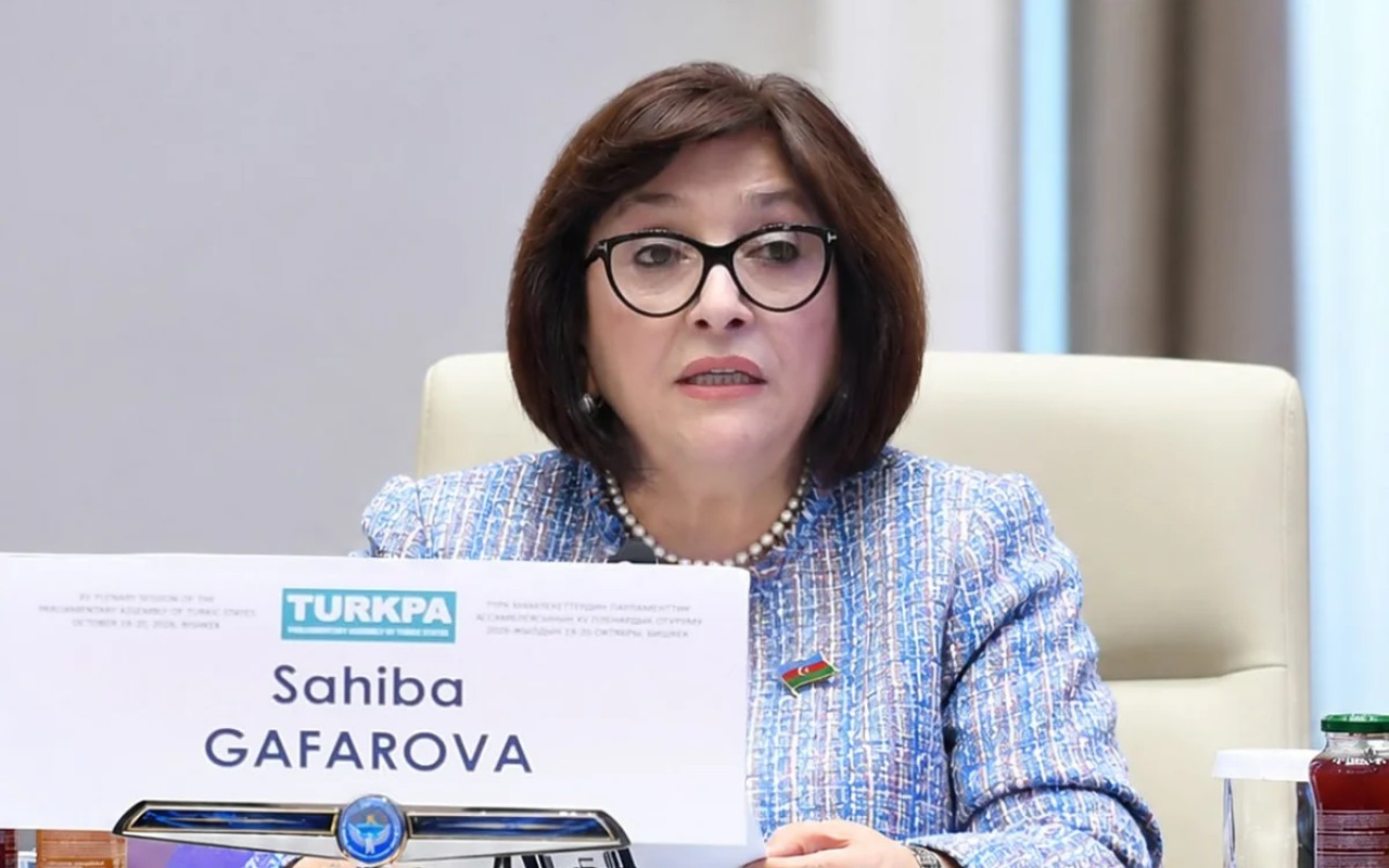 Sahibə Qafarova TÜRKPA-nın iclasında çıxış edib