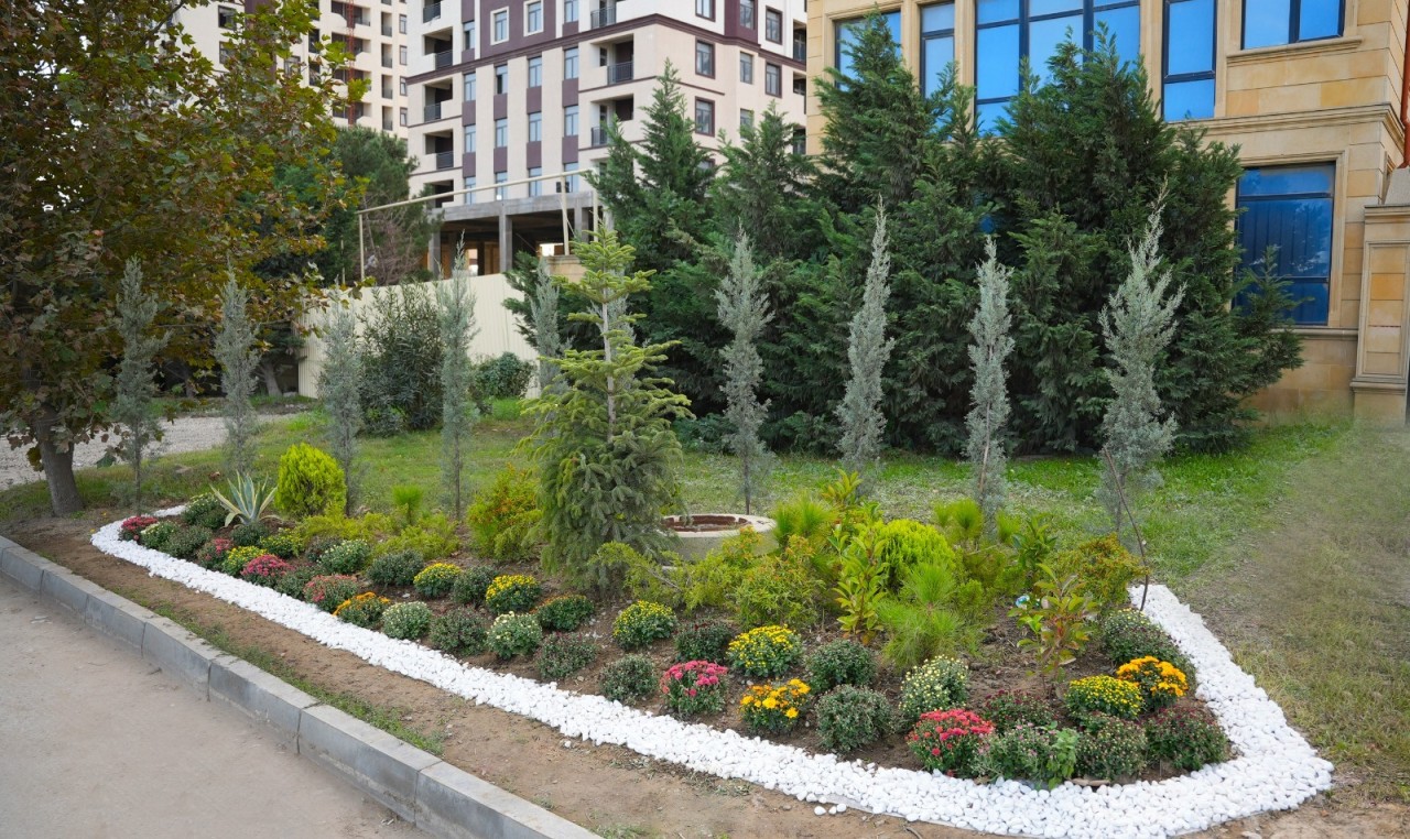 Abşeronda genişmiqyaslı abadlıq-quruculuq işləri davam etdirilir - FOTOLAR