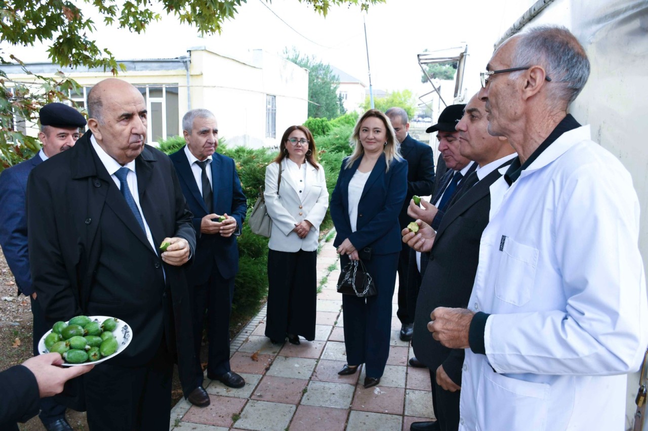 ADAU ilə Neft-Kimya Prosesləri İnstitutu arasında memorandum imzalanıb - FOTOLAR
