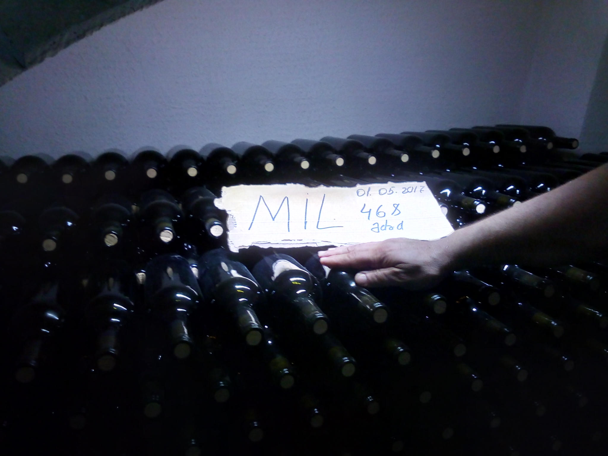 Jurnalistlər Az-Granatada -  FOTOLAR