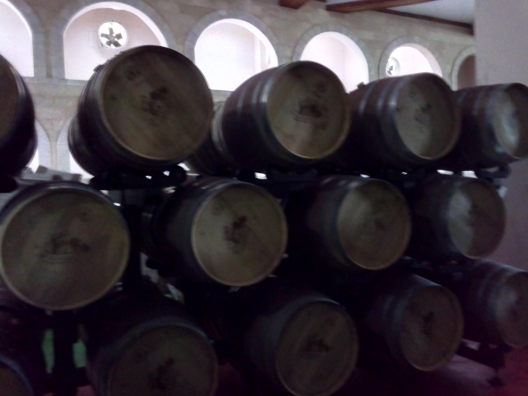 Jurnalistlər Az-Granatada -  FOTOLAR