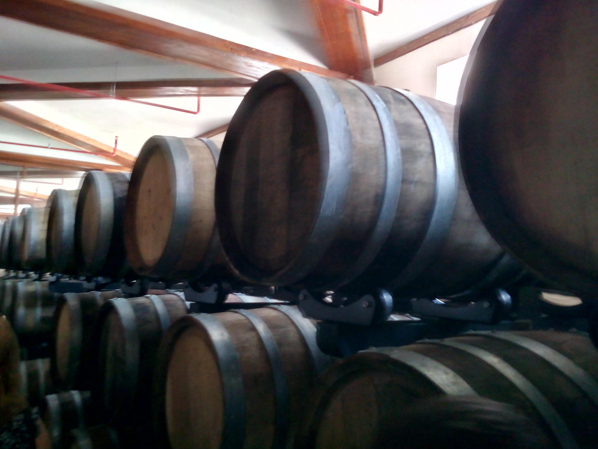 Jurnalistlər Az-Granatada -  FOTOLAR