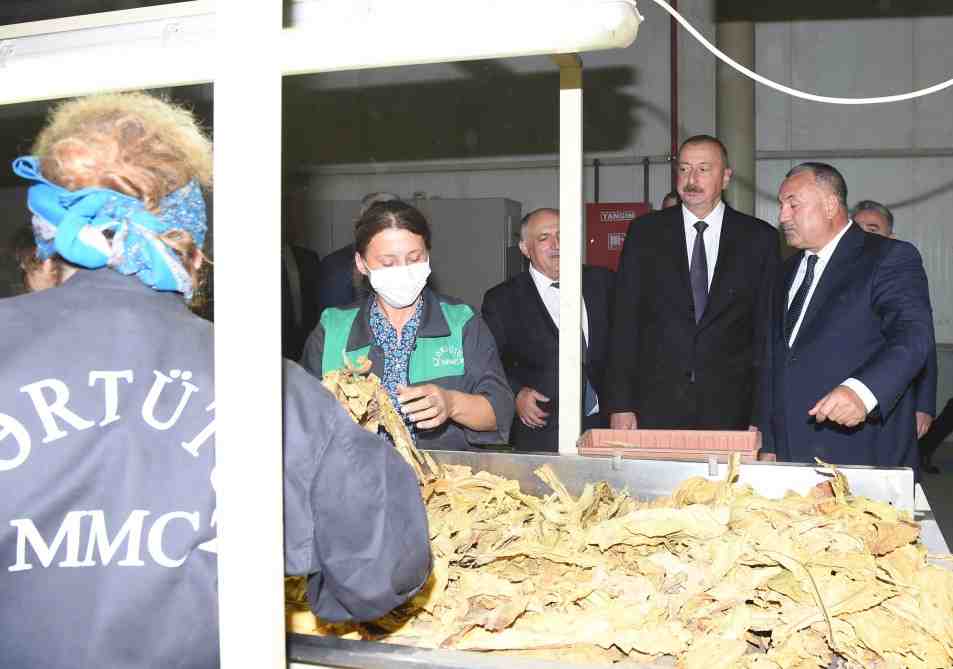 İlham Əliyev qızılgül becərənlərlə görüşdü -   FOTOLAR