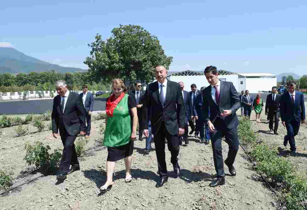 İlham Əliyev qızılgül becərənlərlə görüşdü -   FOTOLAR