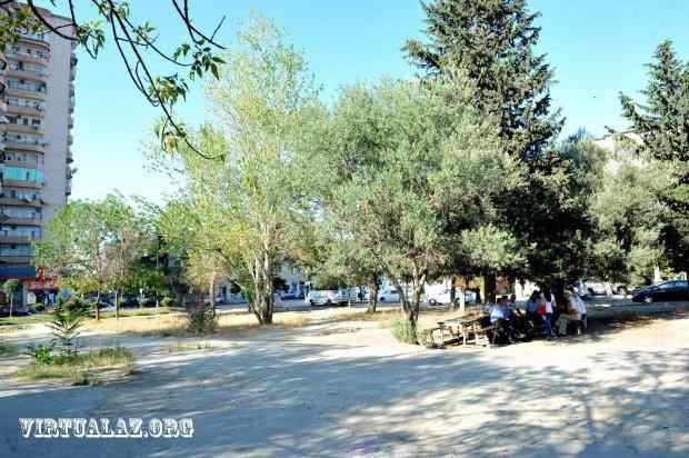Məşhur Ayna Sultanova parkı satılıb?    FOTOLAR