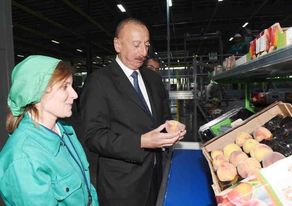 İlham Əliyev Şəmkirə səfər edib -  FOTOLAR (Yenilənib-6)