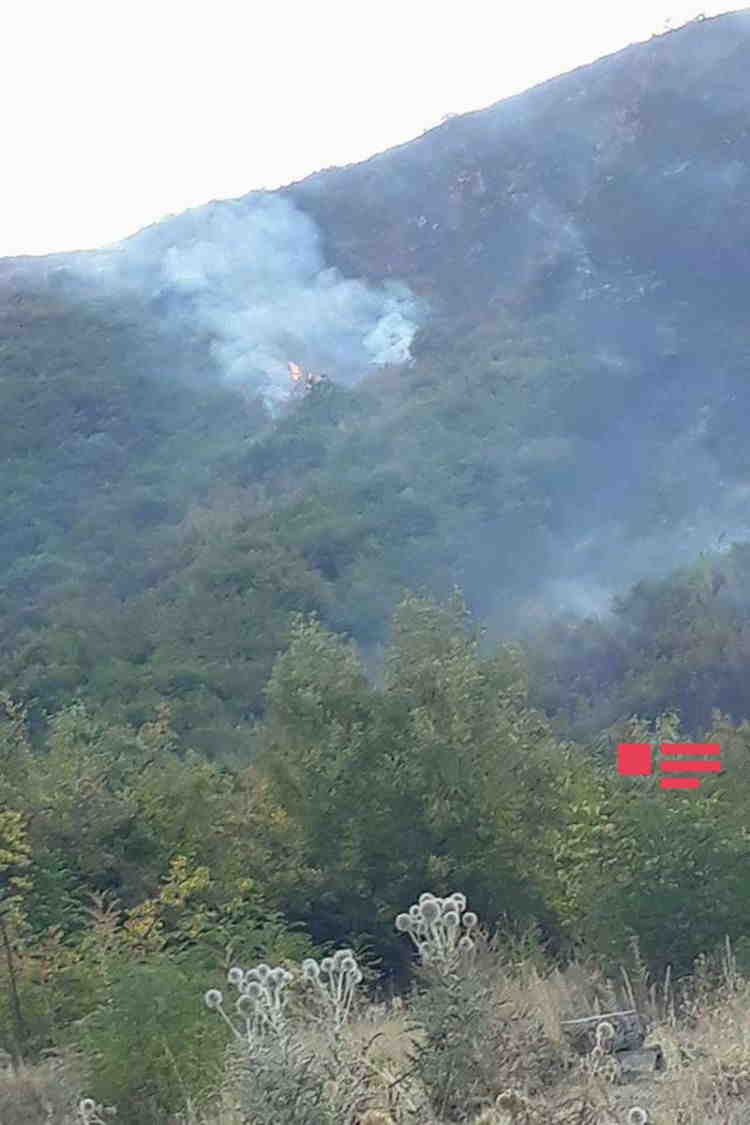 Azərbaycanlıların yaşadığı kənddə meşə   YANIR (FOTO)