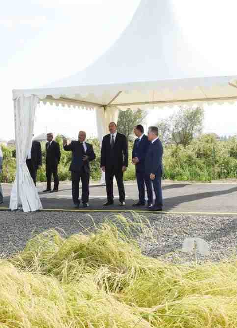 İlham Əliyev  Cənub-Aqro MMC-nin    AÇILIŞINDA - FOTOLAR