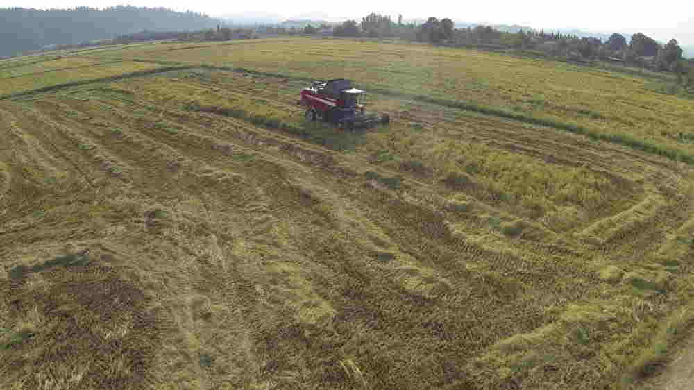 İlham Əliyev  Cənub-Aqro MMC-nin    AÇILIŞINDA - FOTOLAR