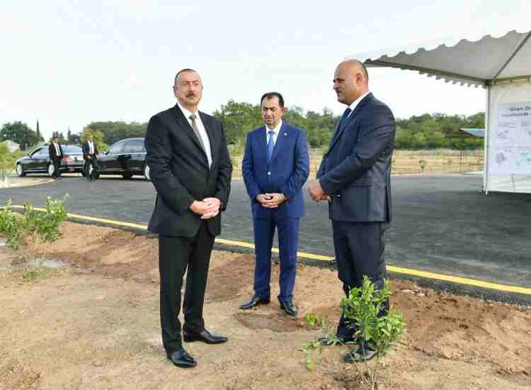 Dövlət başçısı sitrus bağları ilə    TANIŞ OLDU - FOTOLAR