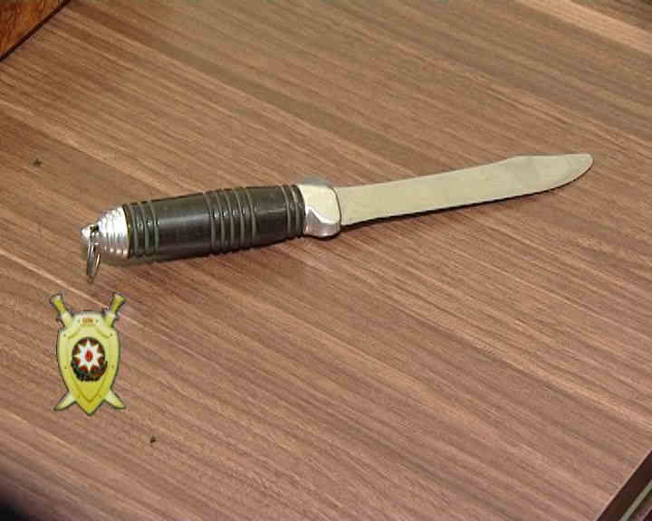 Evə basqın edən maskalı şəxslər   SAXLANILDI