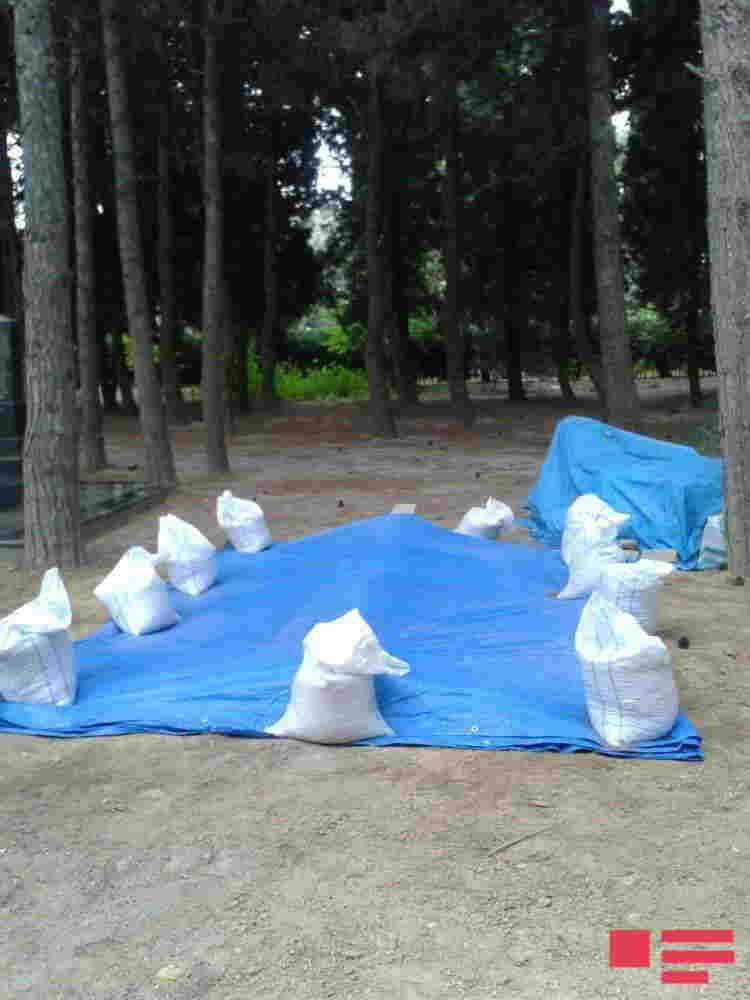 Lütfi Zadə Bakıda I Fəxri xiyabanda   dəfn olunacaq (FOTO)