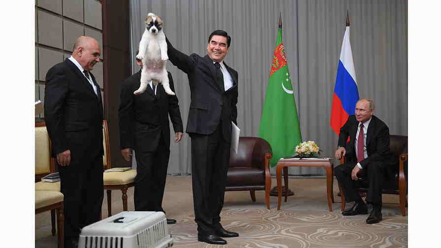 Prezident Putinə it hədiyyə etdi -   VİDEO