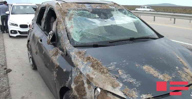 Salyanda avtomobil daşıyan TIR aşdı:  7 ədəd təzə BMW yararsız hala düşdü (FOTOLAR)