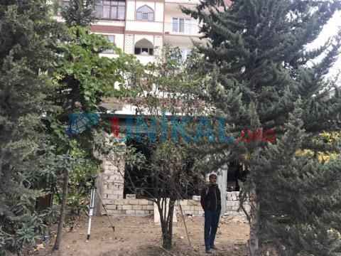 Nəsimidə növbəti ağac soyqırımı â€“  İCRA HAKİMİYƏTİNDƏN QANUNSUZ İCAZƏ