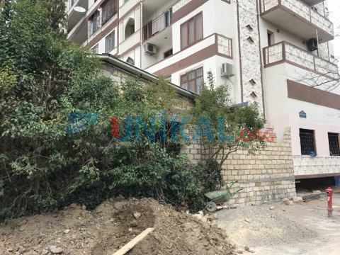 Nəsimidə növbəti ağac soyqırımı â€“  İCRA HAKİMİYƏTİNDƏN QANUNSUZ İCAZƏ