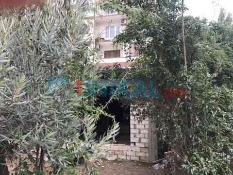 Nəsimidə növbəti ağac soyqırımı â€“  İCRA HAKİMİYƏTİNDƏN QANUNSUZ İCAZƏ