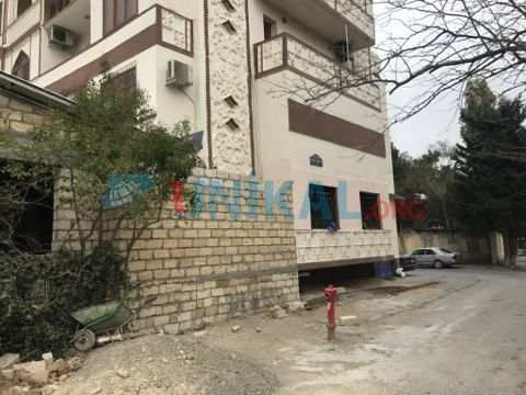 Nəsimidə növbəti ağac soyqırımı â€“  İCRA HAKİMİYƏTİNDƏN QANUNSUZ İCAZƏ