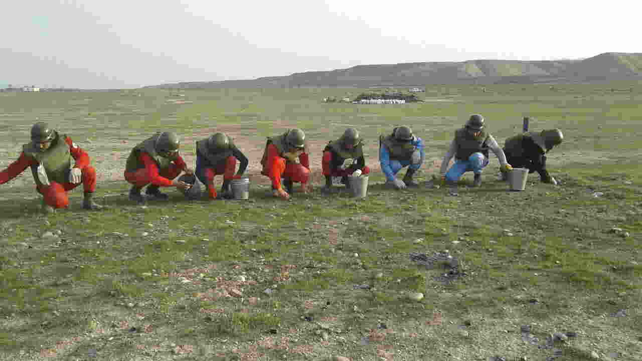  Yaşıllaşdırma İdarəsinin ərazisindən partlamamış hərbi sursatlar tapıldı   - FOTO