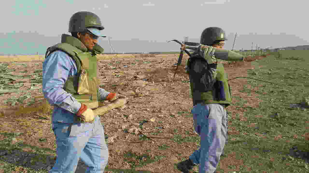  Yaşıllaşdırma İdarəsinin ərazisindən partlamamış hərbi sursatlar tapıldı   - FOTO