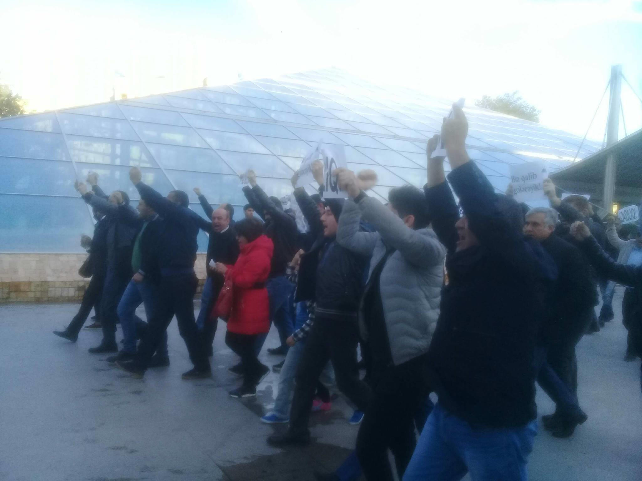 Müsavat Partiyasının üzvləri piket keçirdi FOTOLAR