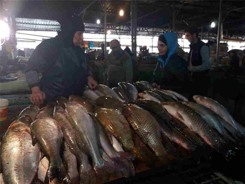 Bakıda dəniz və çay balıqları kəskin bahalaşdı -  FOTOLAR