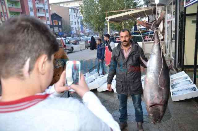 Azərbaycanda metr yarımlıq balıq tutuldu â€“  Türkiyəyə satıldı (FOTO)